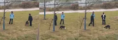 安徽蚌埠龙子湖区 三男子放猎犬撕咬虐杀小猫 画面血腥手段残忍 偷拍视频流出引全网热议!